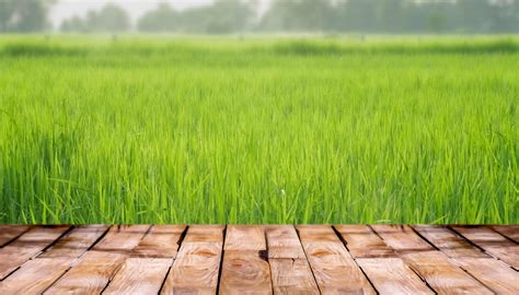 agriculture background design|Agriculture Background Images .
